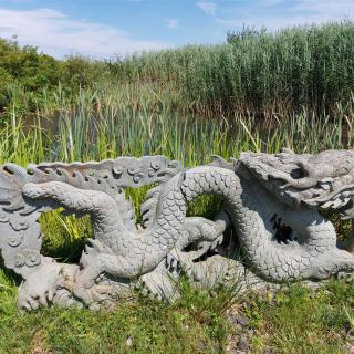 drache